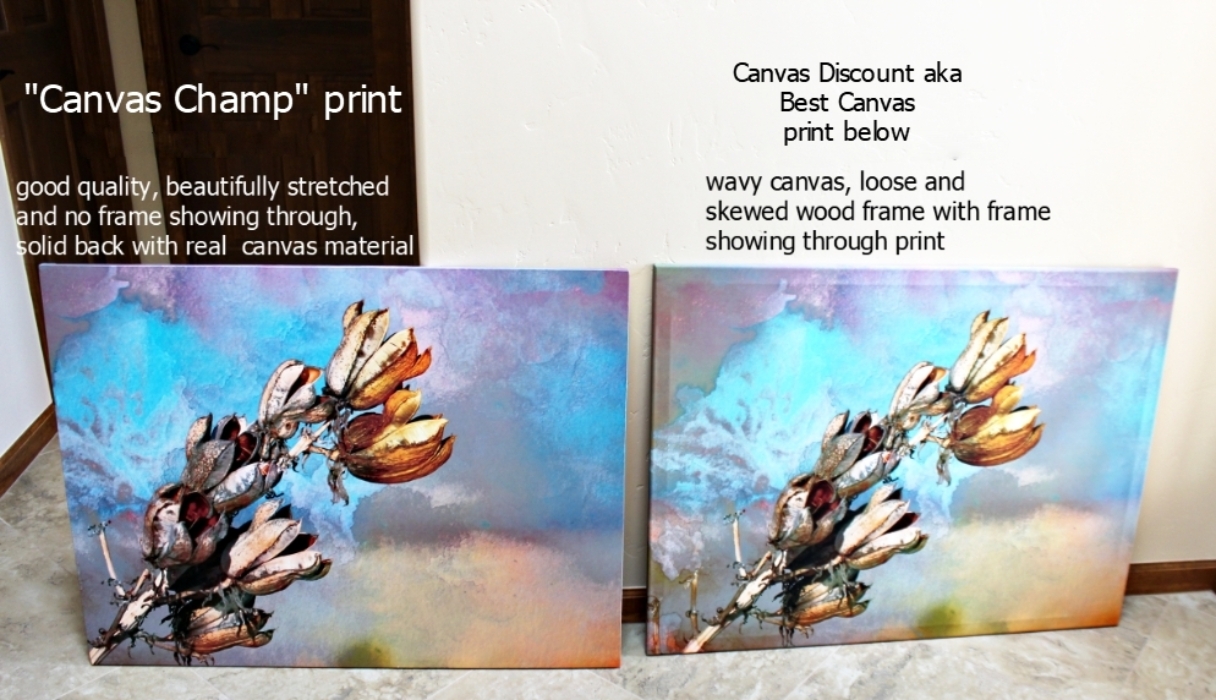 CanvasChamp Reviews 29 Reviews of Sitejabber