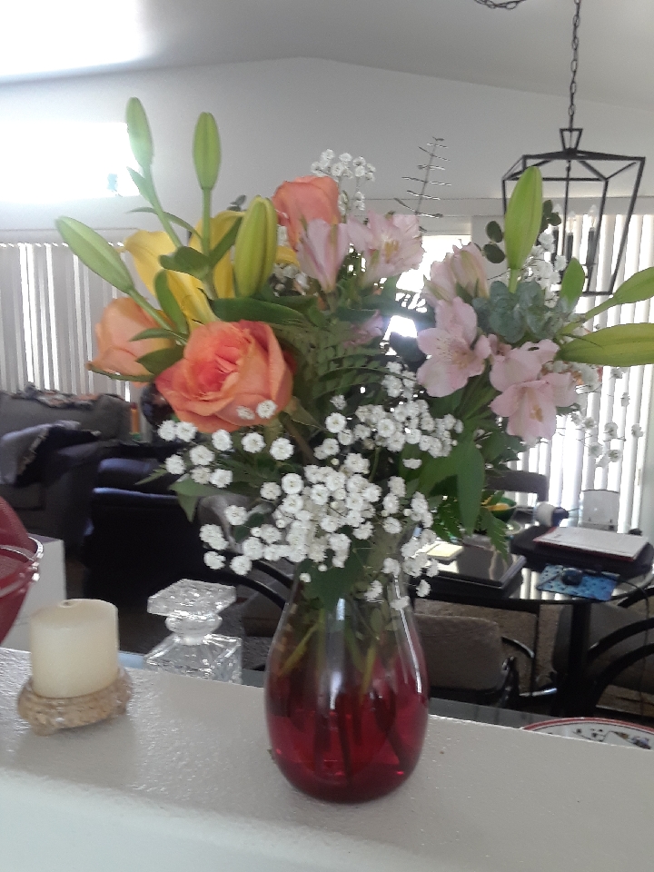 Reviews 183 Reviews of Sitejabber