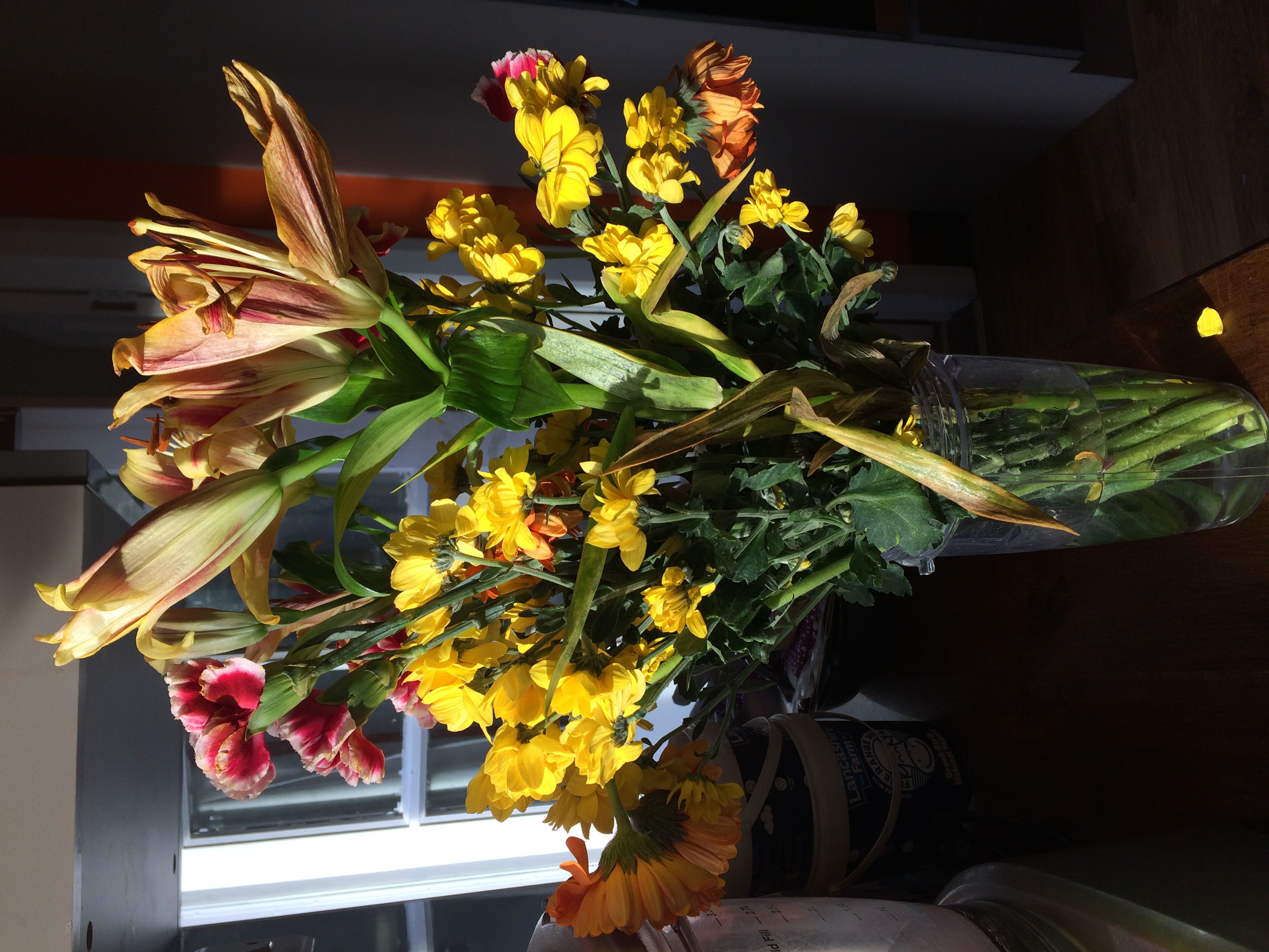 Lovely Flora World Reviews 292 Reviews of