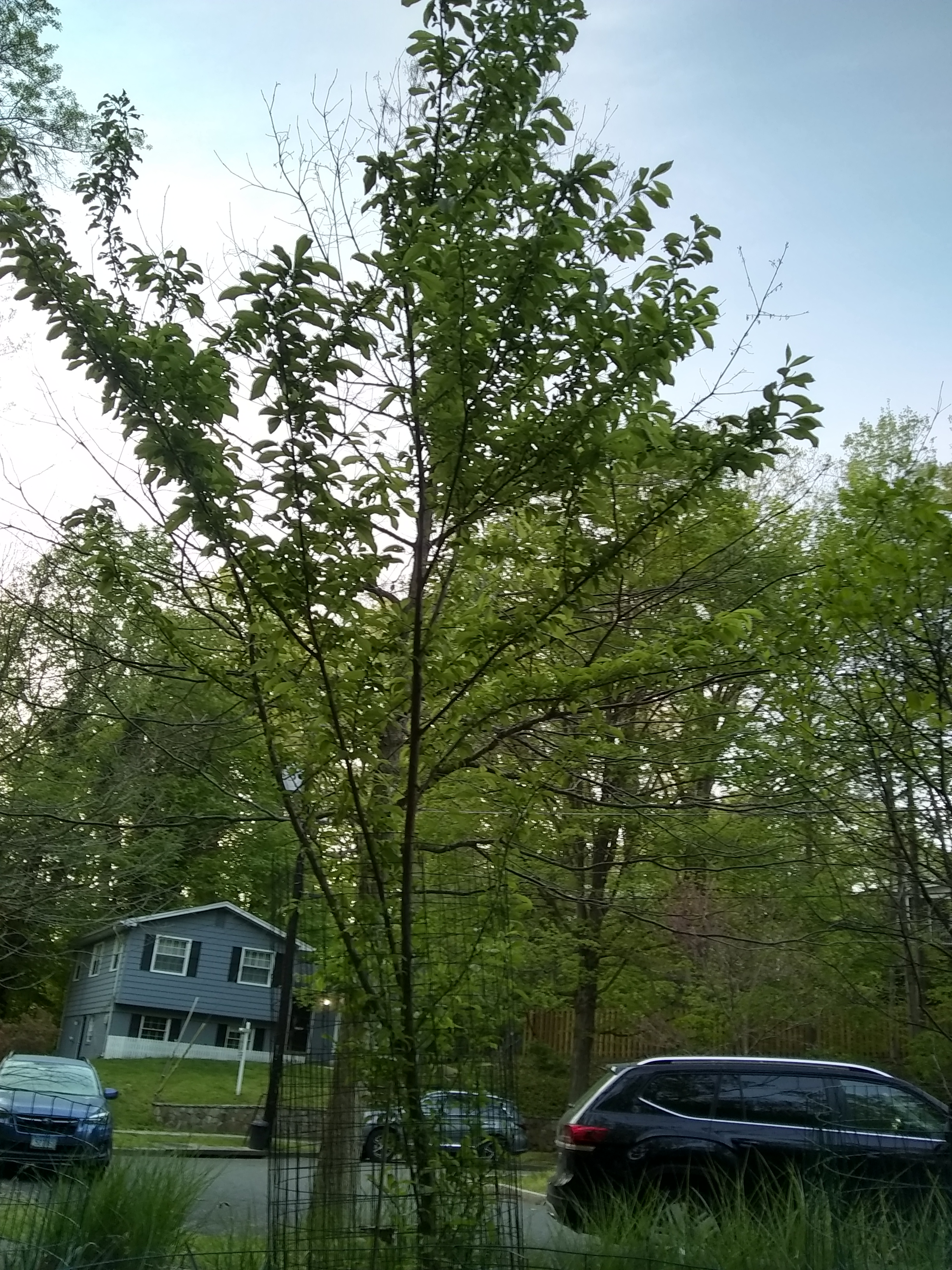 Reviews 20,692 Reviews of