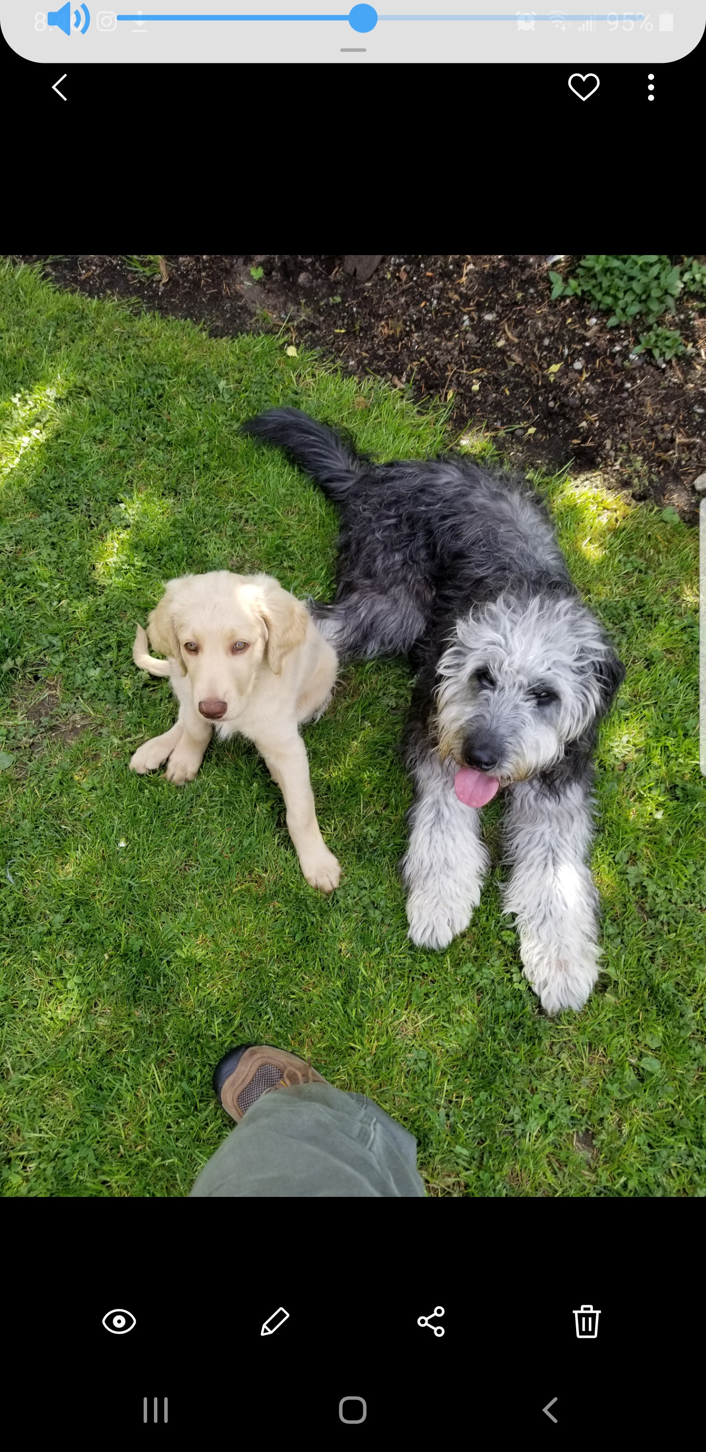 Ultimate Pet Nutrition Reviews 142 Reviews of Ultimatepetnutrition