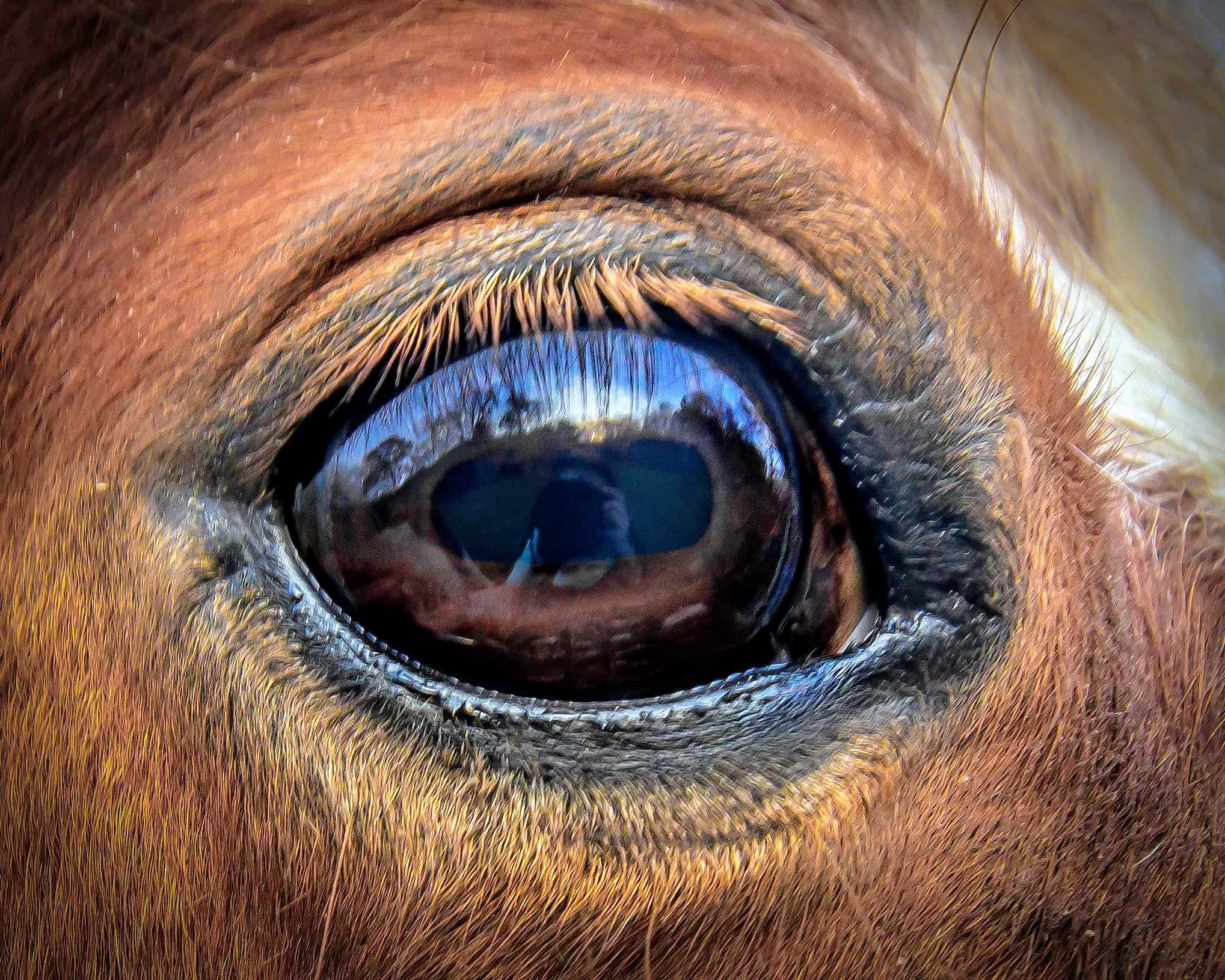 Canvasdiscount Reviews 1,223 Reviews of Sitejabber