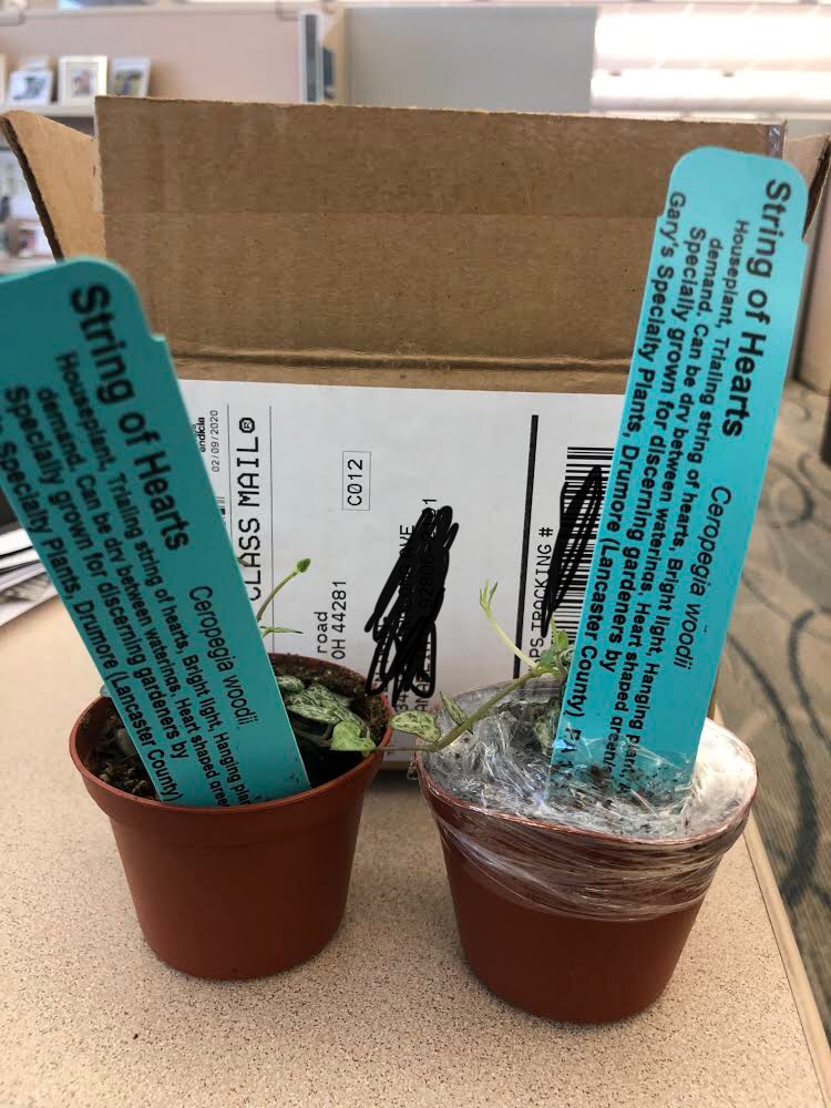 Hirt's Gardens Reviews 43 Reviews of Sitejabber