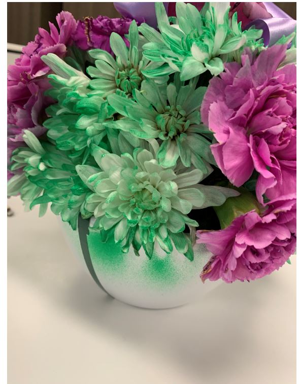 Reviews 117,793 Reviews of Sitejabber