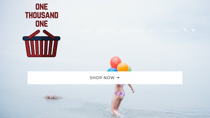 1001basket.com