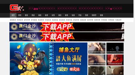 Acceport.com