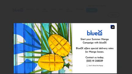Blue-Ex
