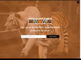 Cattyshack.org