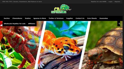 CB Reptile