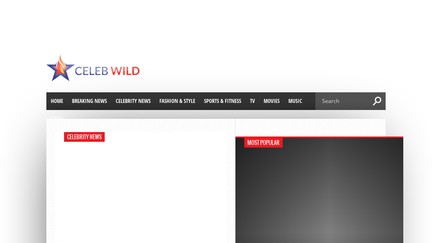 CelebWild