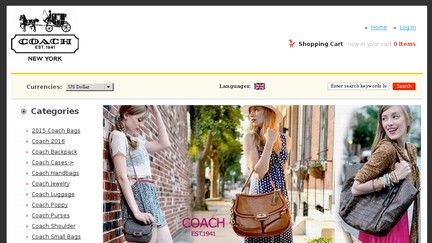 Coach.ergowb.com
