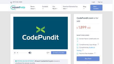 CodePundit.com