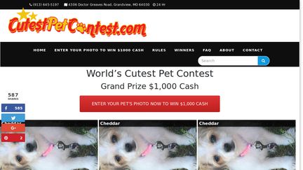 Cutest Pet Contest