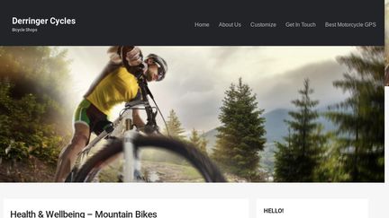 Derringercycles.com