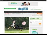 Dogster