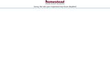 Dzurendainc.com