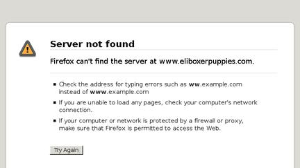 Eliboxerpuppies.com