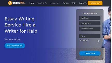 Essayfreelancewriters.com