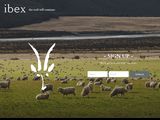 Ibex