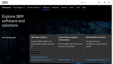 IBM Domino