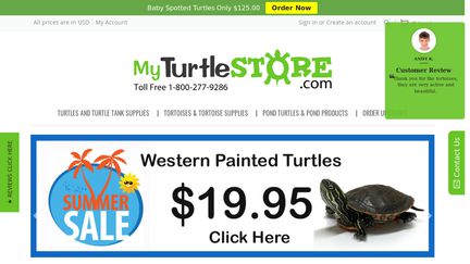 My Turtle Store