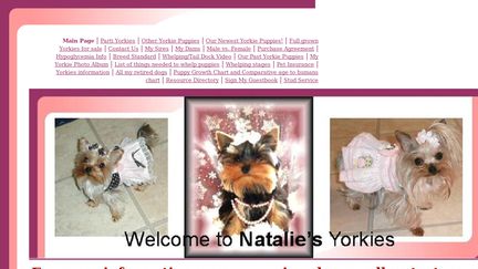 NataliesYorkies