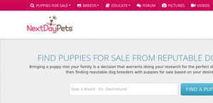 NextDayPets Reviews - 44 Reviews of Nextdaypets.com | Sitejabber NextDayPets Reviews - 44 Reviews of Nextdaypets.com | Sitejabber