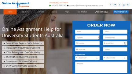 Online Assignment Expert