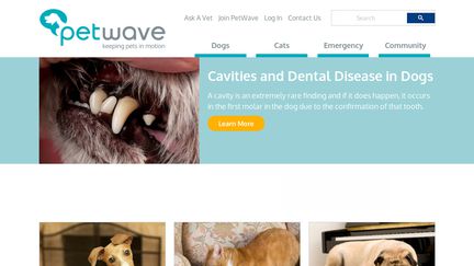 PetWave Corporation