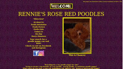 Poodles