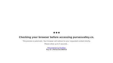 Pursesvalley.cn