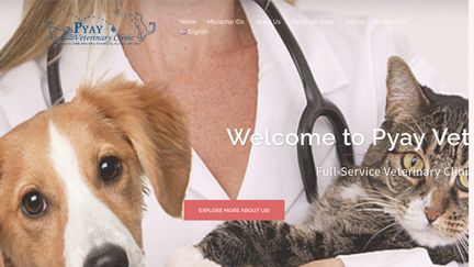 PyayVetClinic