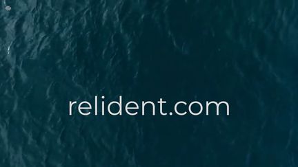 Relident
