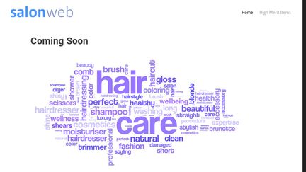 SalonWeb