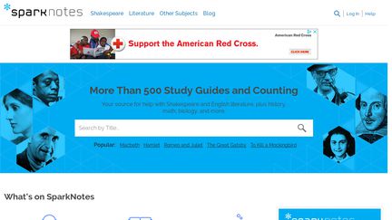 SparkNotes