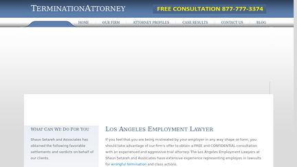 Setareh Law Group