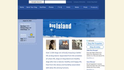 The Dog Island