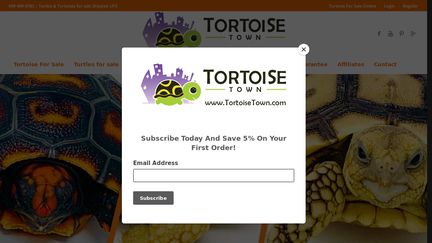 Tortoisetown