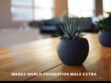 Wadesworldfoundation.org